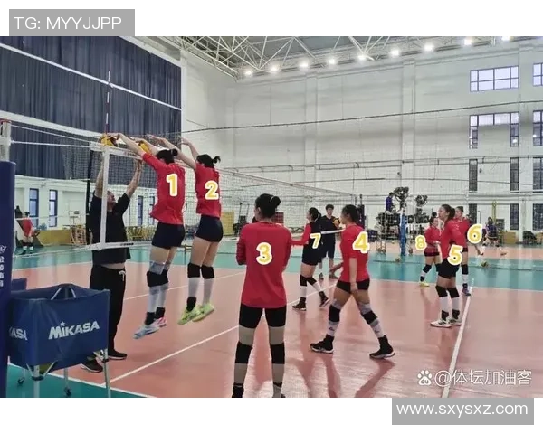 南京排球队的耐力揭秘：从训练到比赛的全景探索